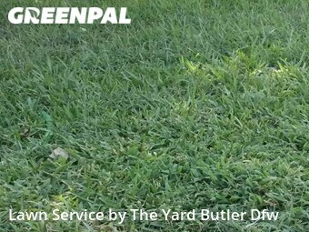 Yard Mowing nearby Westlake, TX, 