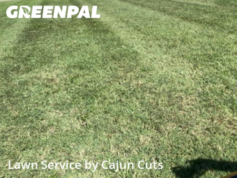 Lawn Care Service nearby Walterhill, TN, 