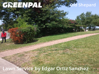 Lawn Mowing Service nearby Plano, TX, 