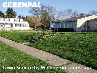 Lawn Mow nearby Erie, PA, 