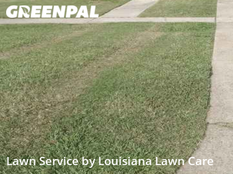 Grass Cut nearby Metairie, LA, 