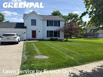 Landscaper In Lancaster,14086,Landscaping Cleanup by Branch Out, work completed in Jun , 2026