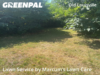 Lawn Maintenance nearby Louisville, KY, 