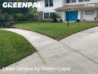 Lawn Care Service nearby Tampa, FL, 