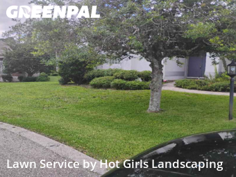 Grass Cutting nearby Spring Hill, FL, 