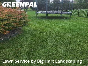 Grass Cut nearby Macomb, MI, 