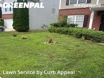 Lawn Mowing Service in Charlotte, 28216, Lawn Cut by Curb Appeal, work completed in 23 Jun, 2026 