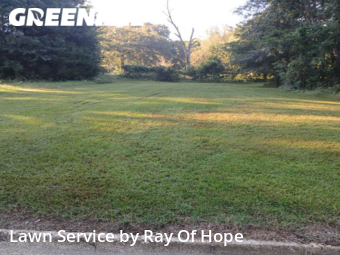 Lawn Cut nearby Tuscaloosa, AL, 