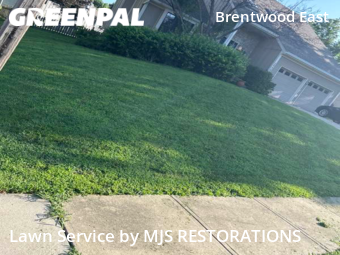 Grass Cut nearby Lenexa, MO, 