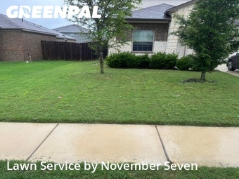 Grass Cut nearby Round Rock, TX, 