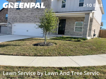 Lawn Cut nearby Converse, TX, 