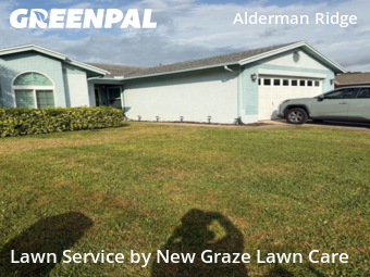 Lawn Mow nearby Palm Harbor, FL, 