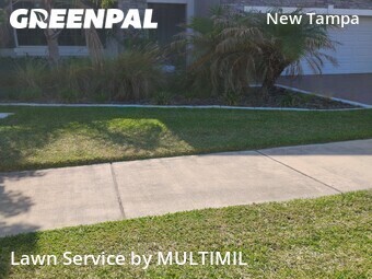 Landscaping Maintenance In Tampa,33647,Landscaping Renovation by MULTIMIL , work completed in Jun , 2026