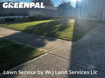 Grass Cutin New Braunfels,78130,Lawn Mowing Service by Wcj Land Services Llc, work completed in Jun , 2026