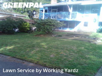 Yard Grooming in Federal Way, 98003, Grass Care by Working Yardz, work completed in Aug , 2025