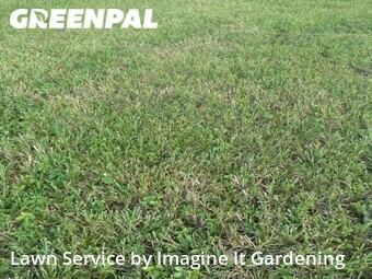 Lawn Care Servicein Doral,33178,Lawn Cutting by Imagine It Gardening , work completed in Jan , 2026