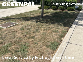 Grass Cutting nearby Nashville, TN, 
