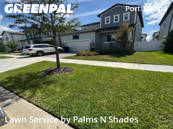 Lawn Cut nearby Tampa, FL, 