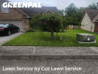 Grass Cut nearby Knoxville, NC, 