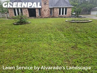 Grass Cut nearby Conroe, TX, 
