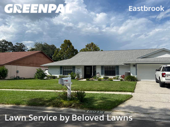 Yard Mowing nearby Tampa, FL, 