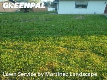 Grass Cut nearby Lady Lake, FL, 
