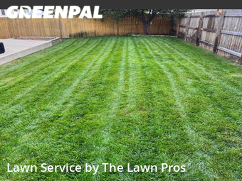 Lawn Cut nearby Longmont, CO, 