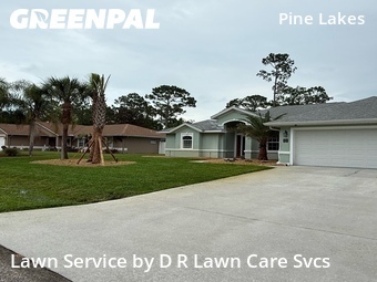 Lawn Cut nearby Palm Coast, FL, 