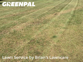 Lawn Cut nearby Raleigh, NC, 