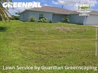 Landscaping Renovation In Cape Coral,33909,Landscaping Renovation by Guardian Greenscaping, work completed in Jul , 2026