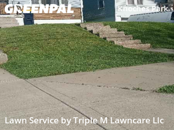 Grass Cut nearby Kansas City, MO, 