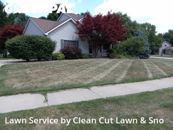 Yard Cutting nearby Lansing, MI, 