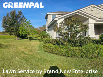 Yard Mowing nearby Riverview, FL, 