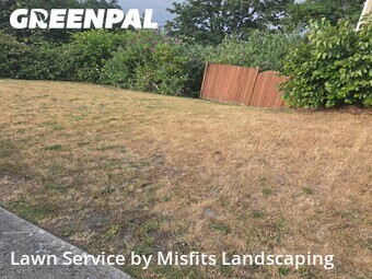 Lawn Maintenance nearby Seattle, WA, 