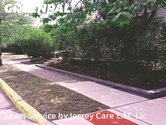 Lawn Mowing Service nearby Highland Park, NJ, 