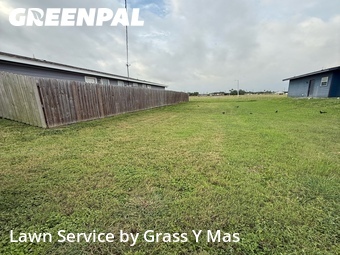 Lawn Maintenance nearby Harlingen, TX, 