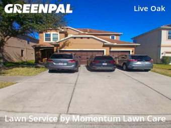 Grass Cut nearby Tampa, FL, 