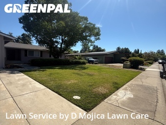 Lawn Maintenance nearby Elk Grove, CA, 