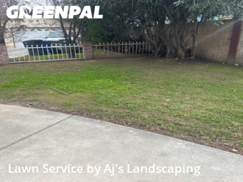 Landscaping Cleanup In Modesto,95351,Landscape Design by Aj's Landscaping, work completed in Dec , 2025