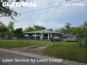Grass Cut nearby Tampa, FL, 