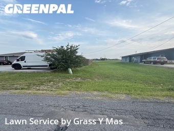 Yard Cutting nearby Harlingen, TX, 