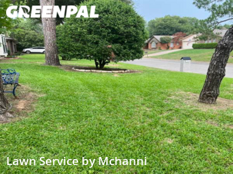 Grass Cut nearby North Richland Hills, TX, 
