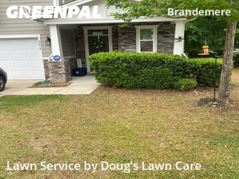 Lawn Mow nearby Raleigh, NC, 