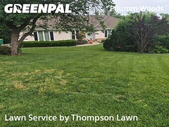 Yard Cuttingin Shawnee,66216,Yard Cutting by Thompson Lawn, work completed in Jun , 2026