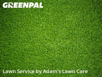 Yard Cutting nearby St. Louis, MO, 