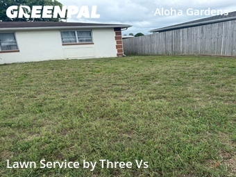 Lawn Maintenance nearby Holiday, FL, 