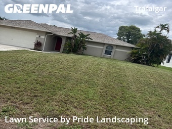 Grass Cut nearby Cape Coral, FL, 