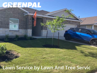 Grass Cut nearby New Berlin, TX, 