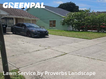 Grass Cut nearby Orlando, FL, 