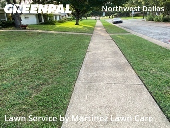 Grass Cut nearby Dallas, TX, 